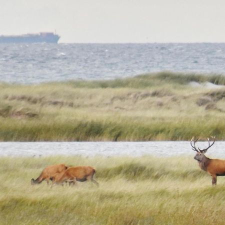 Fewo-Kramm Ostseebad 奥茨塞巴德·迪尔哈根 外观 照片